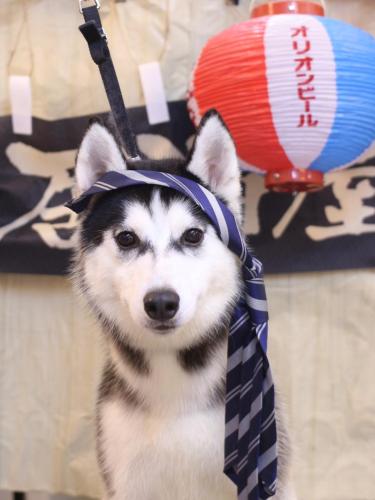 20240620すだちくん